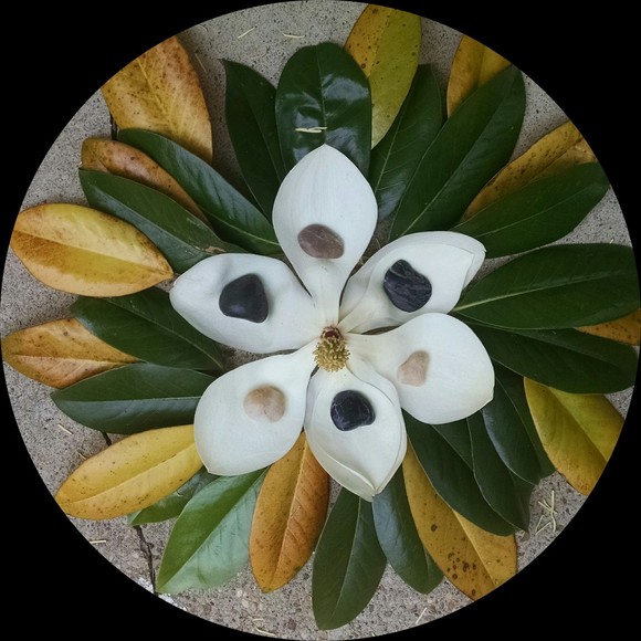 Meet your Posher, Elle - Picture 1 of 1